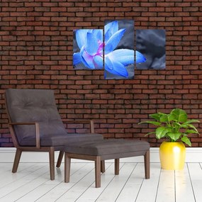 Tablou florilor în detailu (90x60 cm)