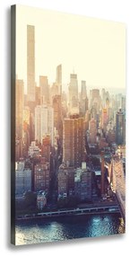 Tablou pe pânză New York pasăre de zbor