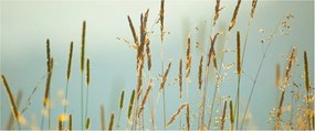 Tablou - Luncă (120x50 cm)