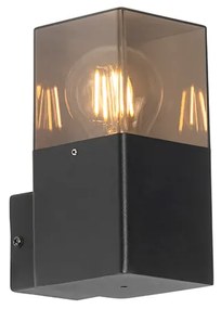 Lampa de perete exterioară modernă neagră IP44 cu sticlă fumurie - Denmark