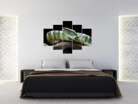 Tablou - Șarpele cu clopoței al lui Wagler (150x105 cm)