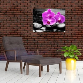 Tablou pe sticlă - Orhidee violet (70x50 cm)