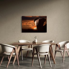 Tablou cu elefant (90x60 cm)