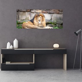 Tablou  cu leu (120x50 cm), în 40 de alte dimensiuni noi