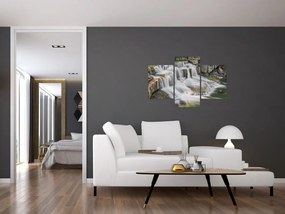 Tablou cu cascade (90x60 cm)