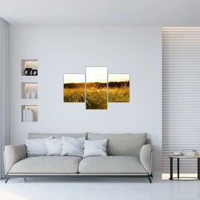 Tablou iarba cu rouă (90x60 cm)