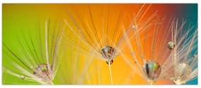 Tablou cu picături pe plantă (120x50 cm)