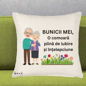 Cadou pentru Bunici - Perna Personalizata Bunicii Mei Comoara Cuplu Senior cu Flori Colorat, 40x40 cm, Crem Reliefat, Husa Detasabila, Perna Inclusa, BEKZ®