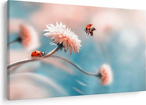 Tablou - Buburuze pe floare (90x60 cm)