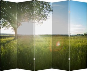 Paravan - Lunca în vară (210x170 cm)