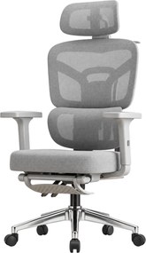 NEXORA CONFORT – Scaun ergonomic, suport lombar 3D adaptiv, tetieră 4D, cotiere 3D, șezut glisant, recliner 135°, suport pentru picioare, bază metalică, Mesh, Gri