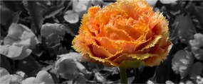Tablou cu floare (120x50 cm)