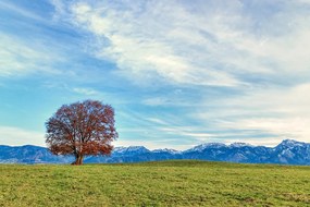 Fototapet panorama munților