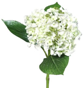 Hortensie artificială albă, 44 cm