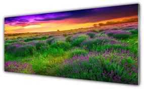 Tablou pe sticla Meadow Natura Roz Violet Galben Verde