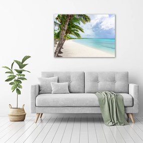 Print pe pânză Plaja tropicala