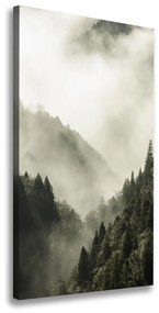 Tablou pe pânză canvas Ceață peste pădure