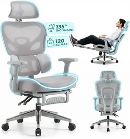 Scaun ergonomic, Suport Lombar 3 Zone Dinamice, Spătar ajustabil pe inaltime, cotiere 3D, tetiera 3D, suport pentru picioare, umeras, pivotant, Mesh, Gri
