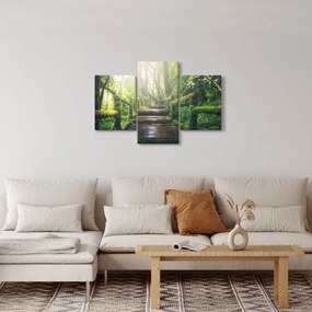 Tablou - trepte din lemn în pădure (90x60 cm)