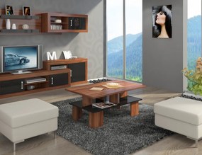 Masă de cafea Sudbury 2 (prun + Negru lucios). 780023