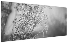 Tablou - Pajiște după ploaie (120x50 cm)