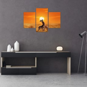 Tablou - Girafe în Parcul Național Serengeti (90x60 cm)