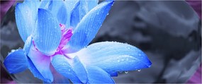 Tablou florilor în detailu (120x50 cm)