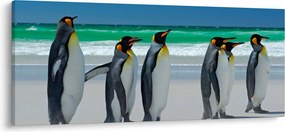 Tablou - Grup de pinguini regali (120x50 cm)