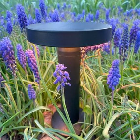 Lampă LED solară Zuma Line DT33611 CARLI LED/2W/2000 mAh IP44 negru