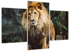Tablou cu leu în natură (90x60 cm)