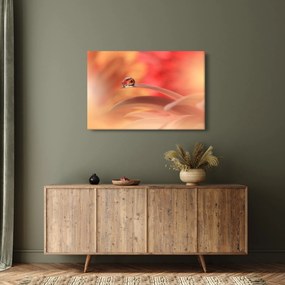 Tablou picăturii de rouă pe floare (90x60 cm)