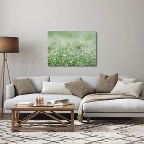 Tablou - Trandafir în iarbâ (70x50 cm)