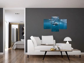 Tablou - Delfin sub apă (90x60 cm)