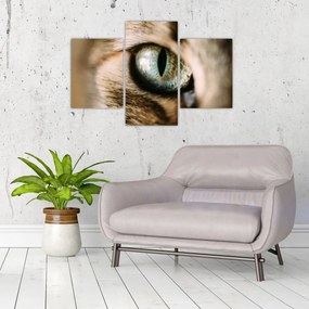 Tablou - Ochi de pisică (90x60 cm)