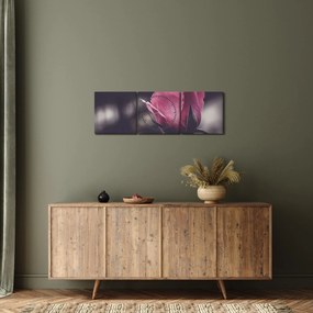 Tablou - Detaliu florii de trandafir (cu ceas) (90x30 cm)