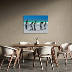 Tablou pe sticlă - Grup de pinguini regali (70x50 cm)