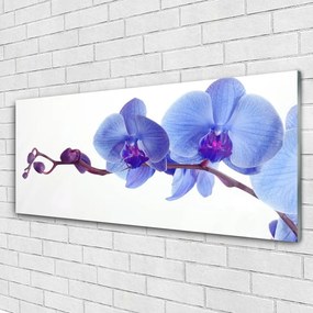 Tablouri acrilice Flori Floral Albastru Violet