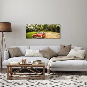 Tablou - mașina veteran în natură (120x50 cm)