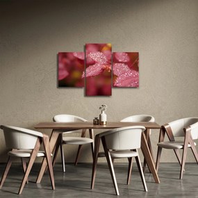 Tablou - Imagine macro a biletului (90x60 cm)