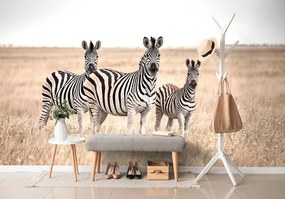 Fototapet trei zebre în savană