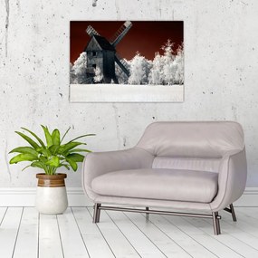 Tablou pe sticlă cu moară (70x50 cm)