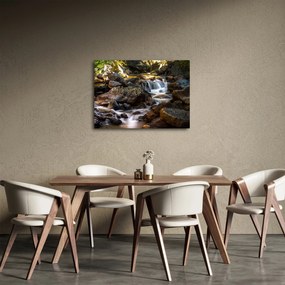 Tablou cu râul pietros (70x50 cm)