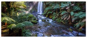 Tablou cu pădurea ploilor din Austalia (120x50 cm)
