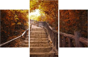 Tablou - Scări în natură în toamnă (90x60 cm)