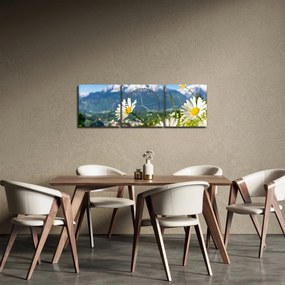 Tablou - Primăvara în Alpi (cu ceas) (90x30 cm)