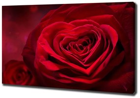 Tablou pe pânză canvas Inima trandafir rosu