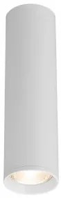 Spot aplicat/plafoniera GU10 BH04-00560 Braytron