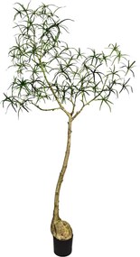 Copac artificial realist, model sticla Queensland, dimensiuni multiple - PotteryPots mărimea: L - ø 50 cm | înălțime 200 cm