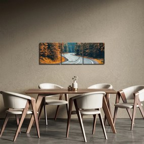 Tablou - Drumul cu serpentine (cu ceas) (90x30 cm)