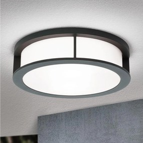 Orion - Aplică de exterior HENRY, 2xE27/15W/230V, Ø 30 cm, IP44, antracit